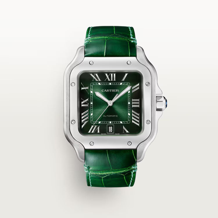 2025 Cartier Santos WSSA0062 (GREEN)