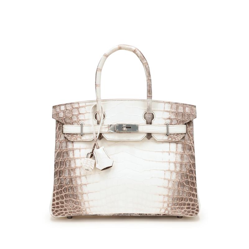 White Matte Niloticus Crocodile Himalaya Birkin 30 Palladium Hardware, 2020